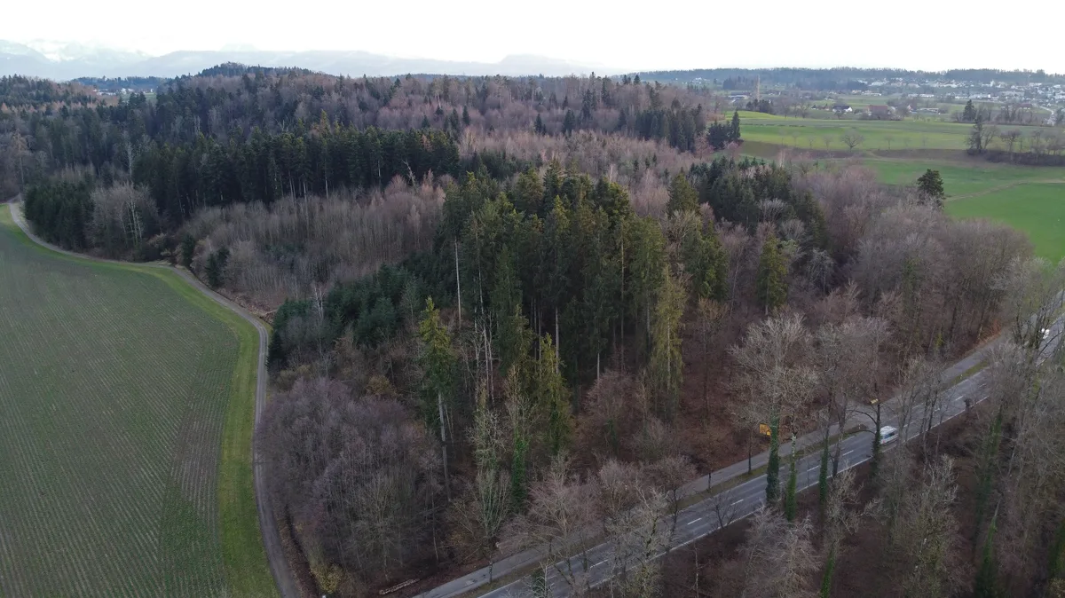 Luftaufnahme des Tägernauer Holz.